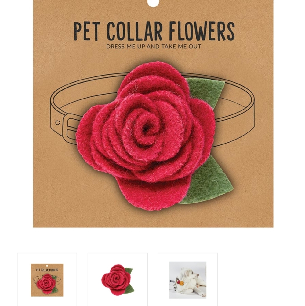 Pet Collar Flower